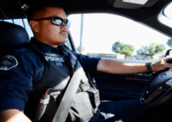 public safety cockpit